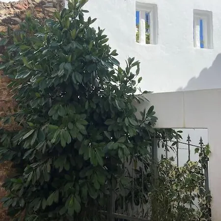 Old Town Oasis بيت للعطل