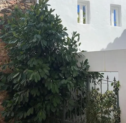 Old Town Oasis 펜션